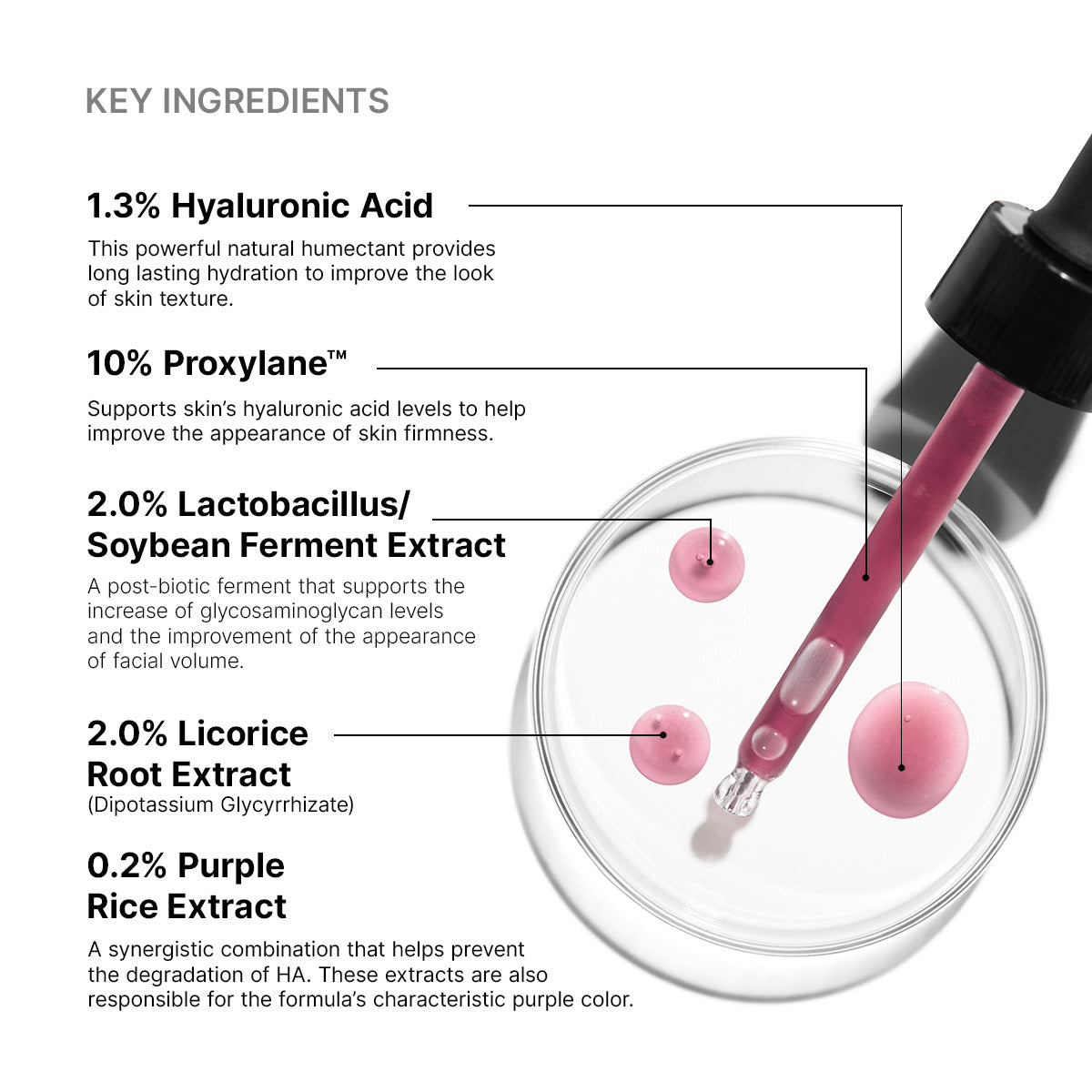 SkinCeuticals H.A. Intensifier Multi-Glycan