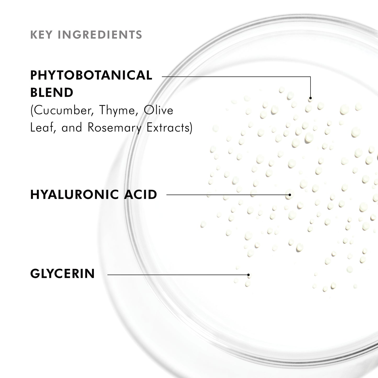 SkinCeuticals Phyto Corrective Essence Mist
