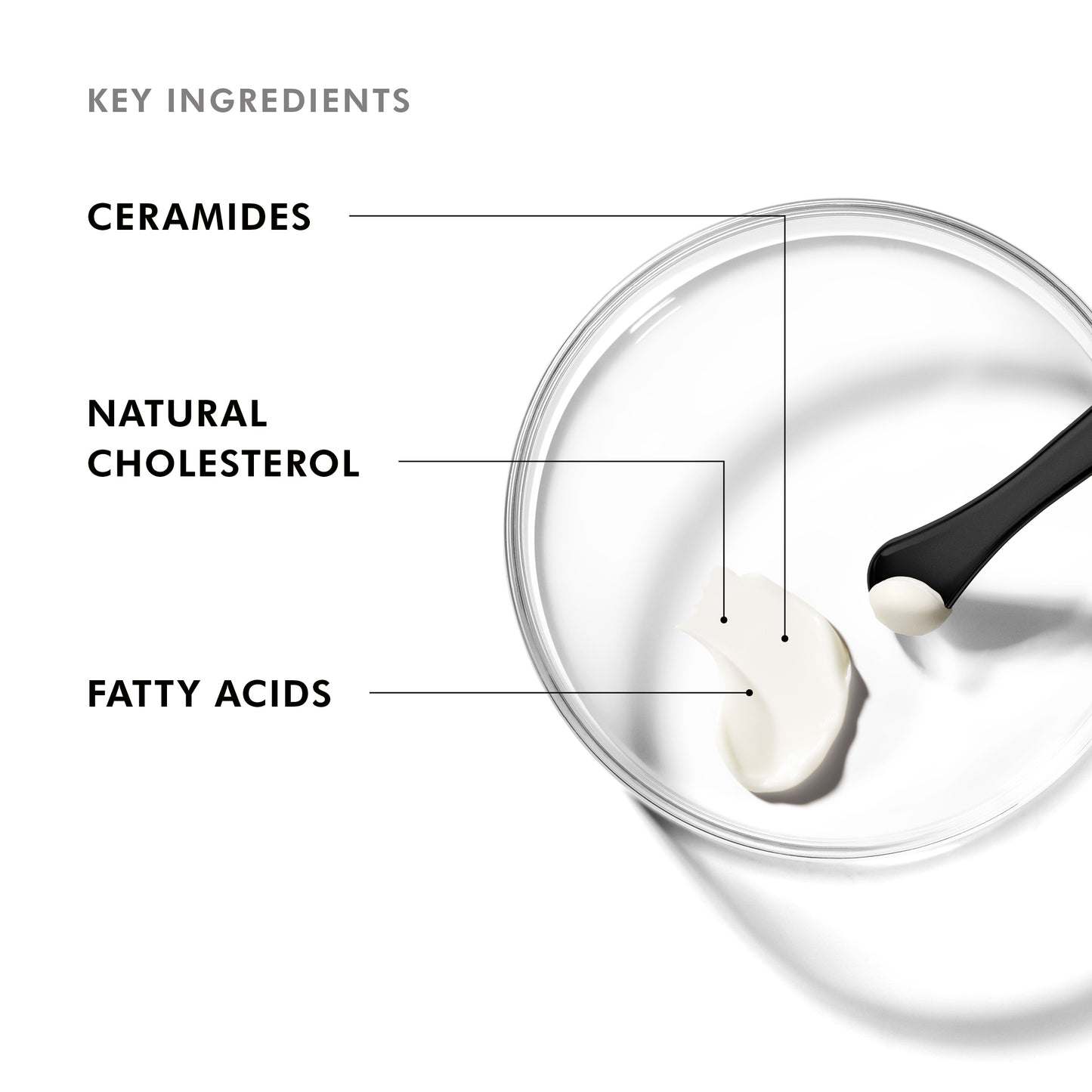 SkinCeuticals Triple Lipid Restore 2:4:2